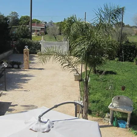 Daila פראביטה