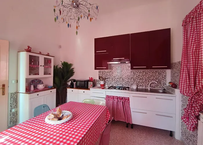 Daila * بارابيتا